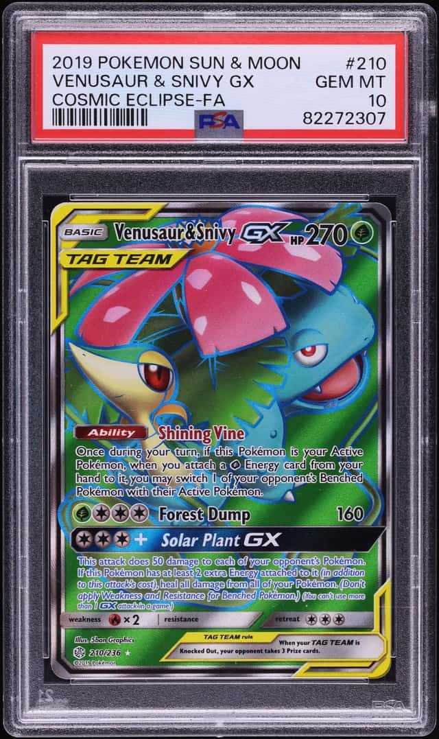 Venusaur & Snivy GX