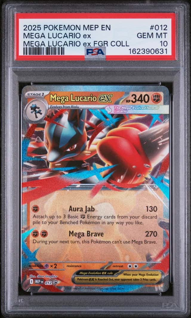 MEGA LUCARIO ex