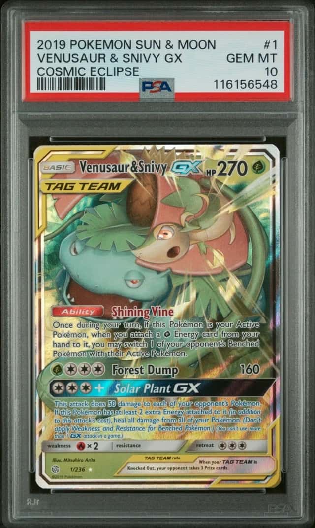 Venusaur & Snivy GX