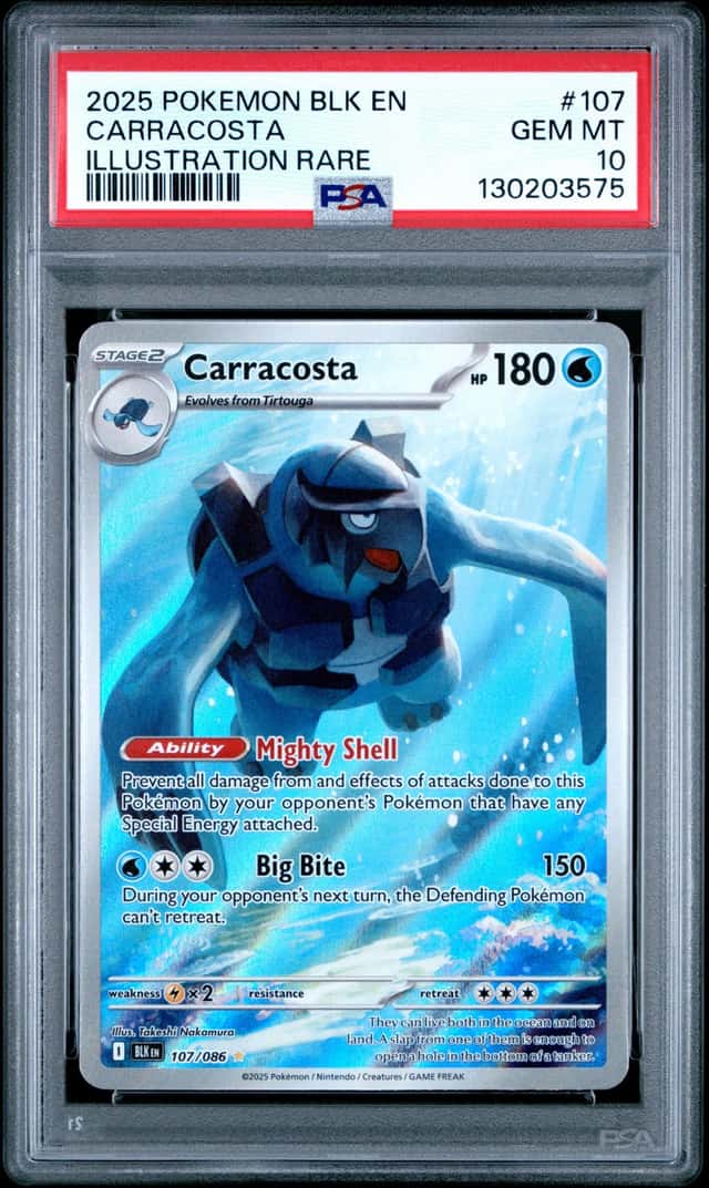 Carracosta