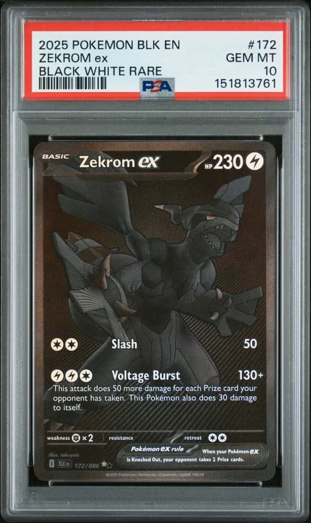 ZEKROM ex