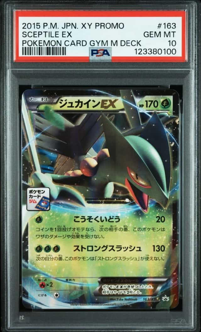 Sceptile EX