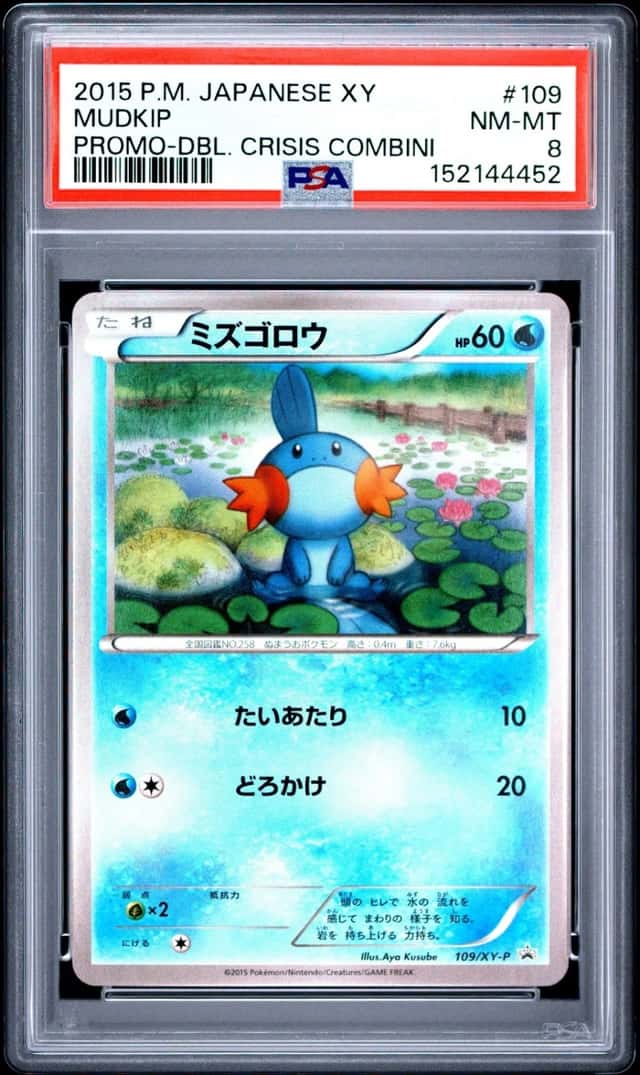 Mudkip
