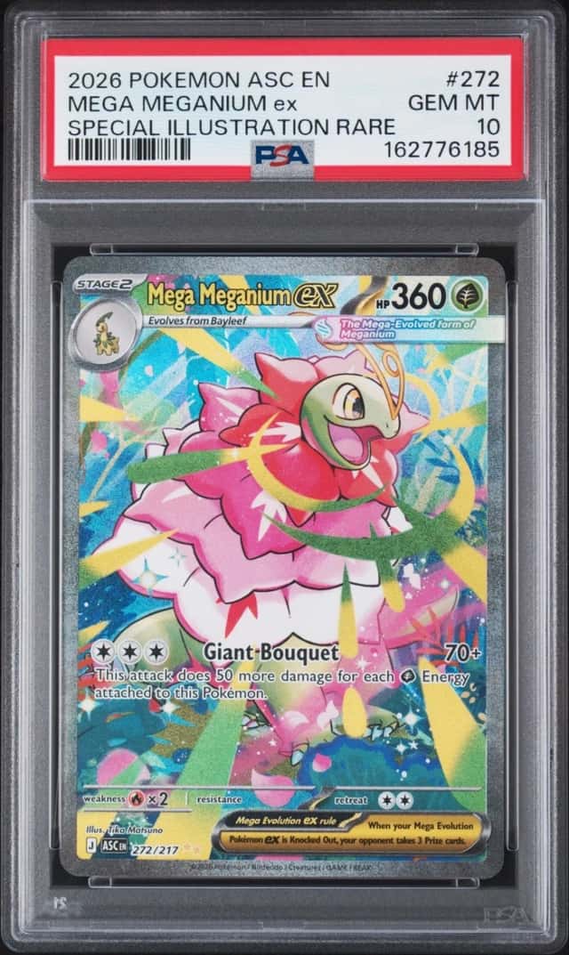 MEGA MEGANIUM ex
