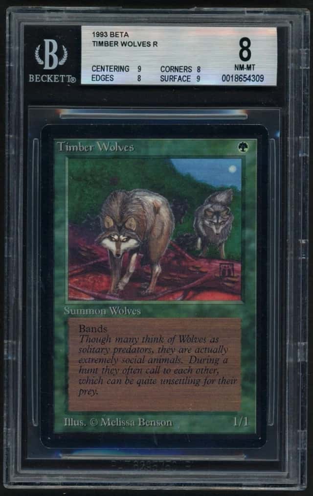 Timber Wolves