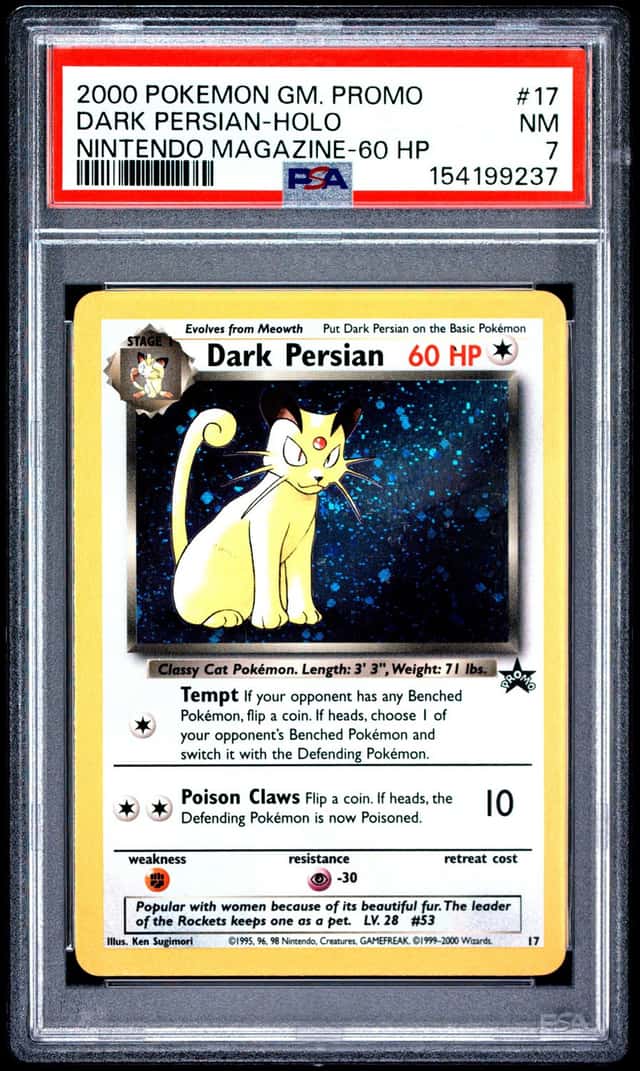 Dark Persian