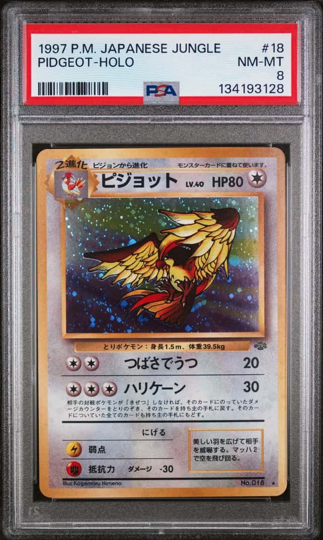 Pidgeot