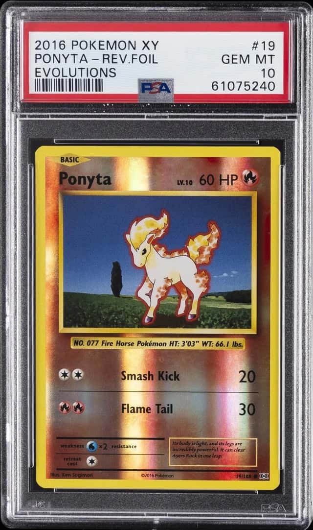 Ponyta