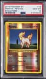 Ponyta