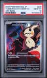 Team Rocket'S Mimikyu