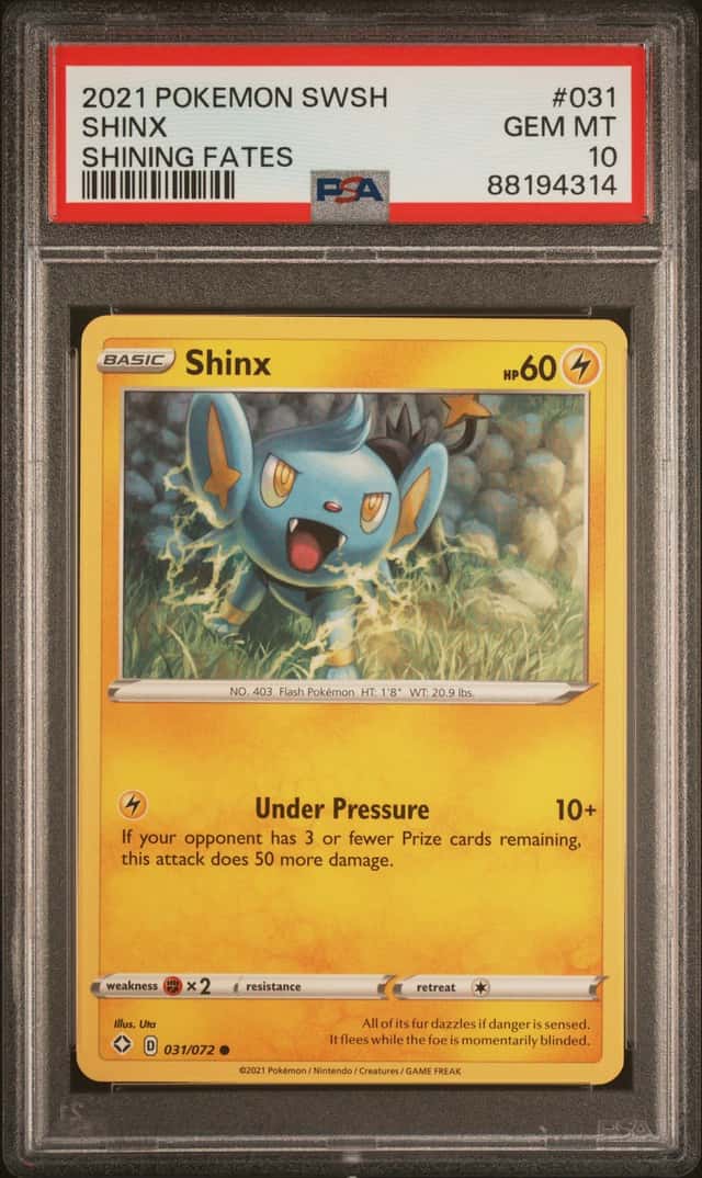 Shinx
