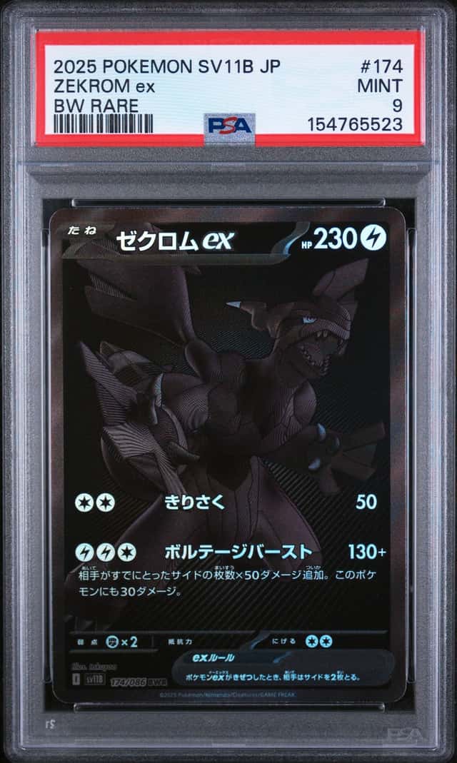 ZEKROM ex