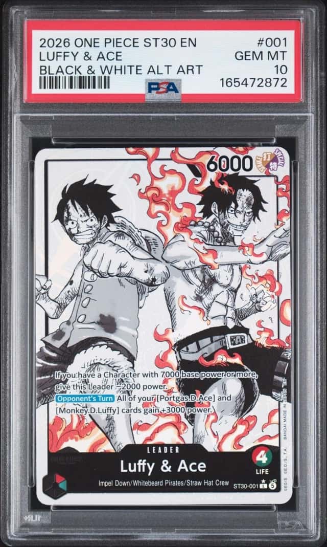 Luffy & Ace