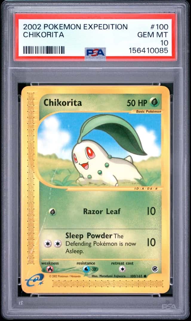 Chikorita