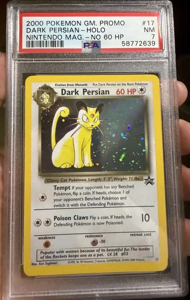 Dark Persian