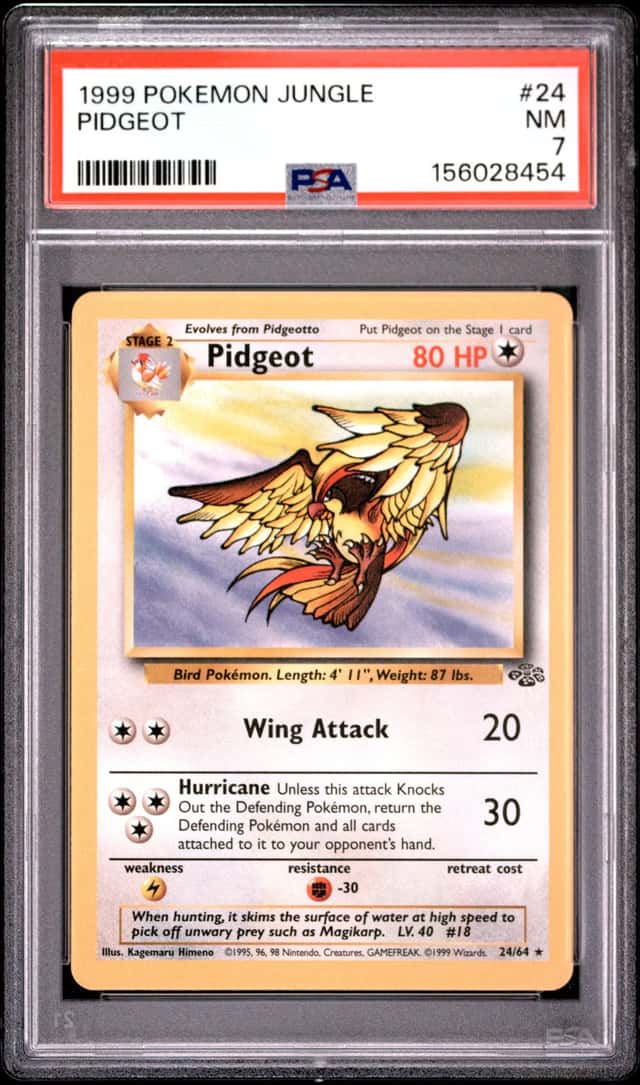 Pidgeot