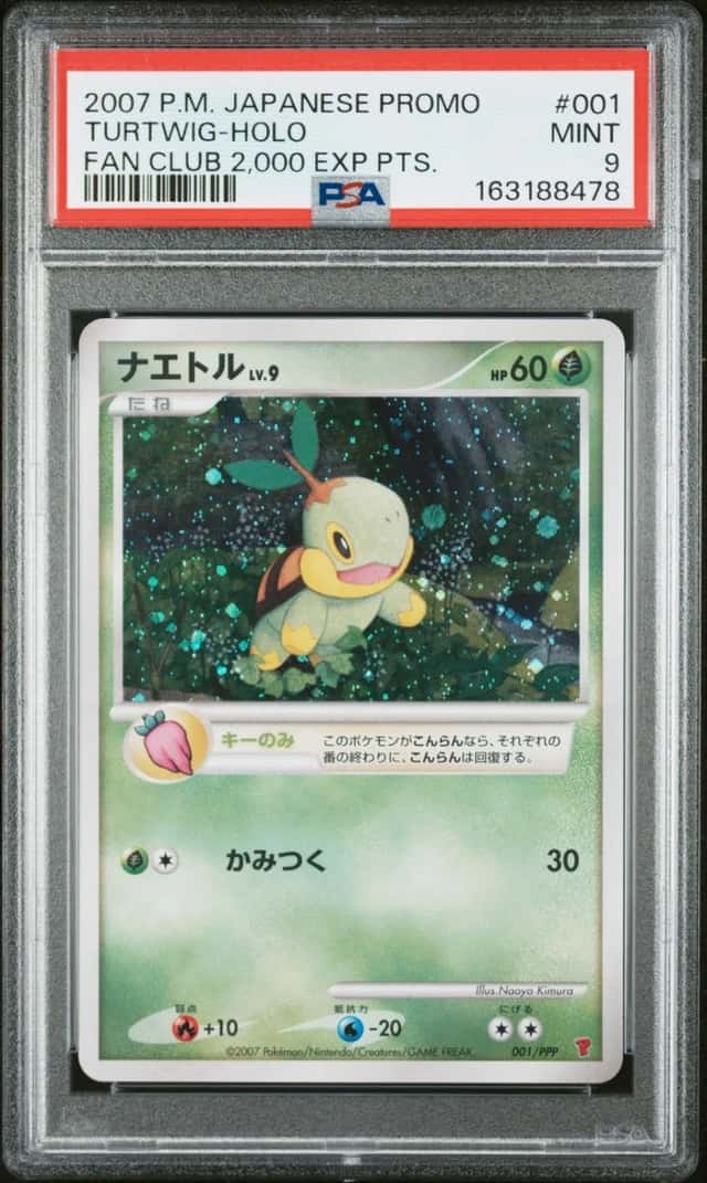 Turtwig