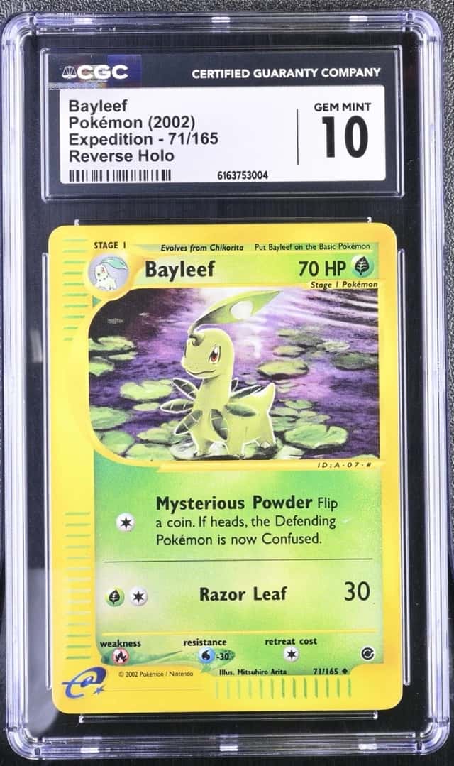 Bayleef