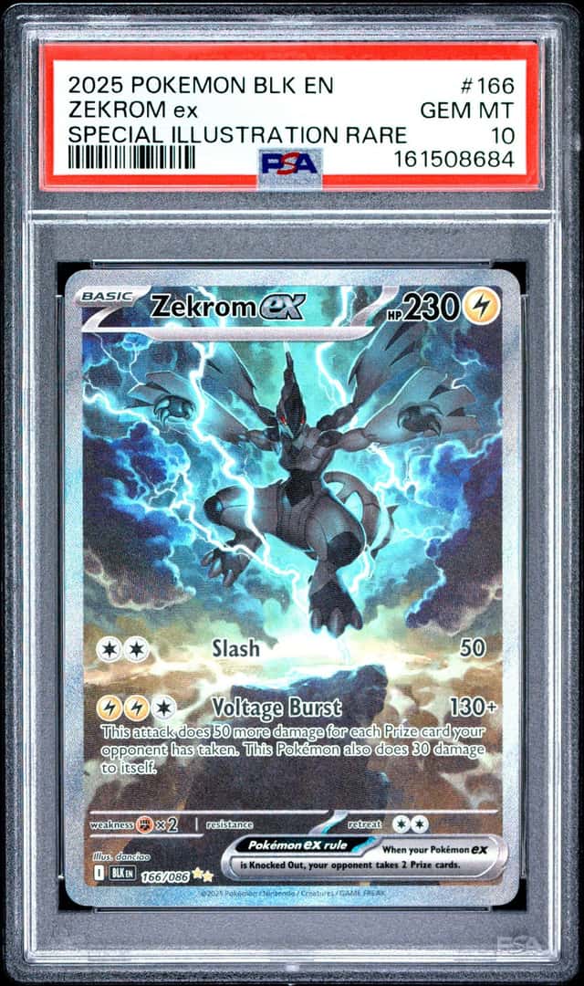 ZEKROM ex