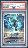 Zekrom Ex