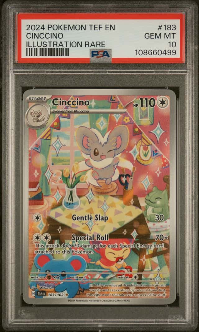 Cinccino