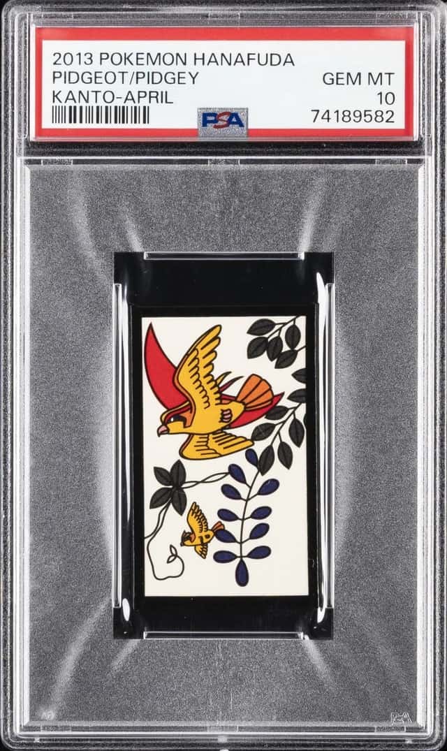 Pidgeot/Pidgey