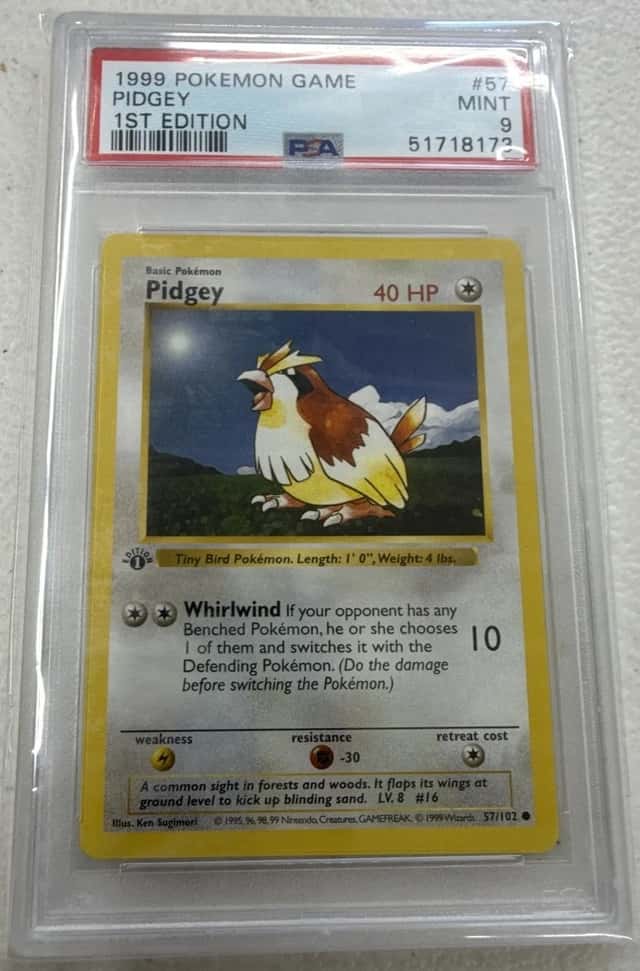 Pidgey