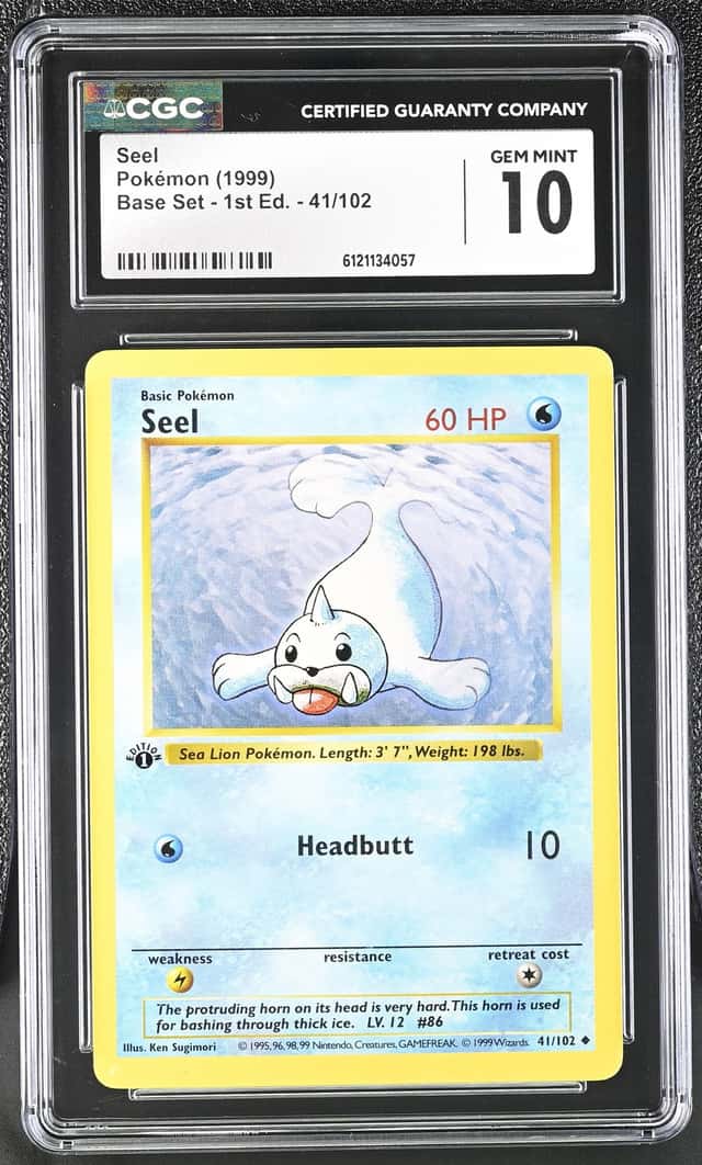 Seel