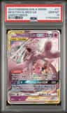 Mewtwo & Mew Gx