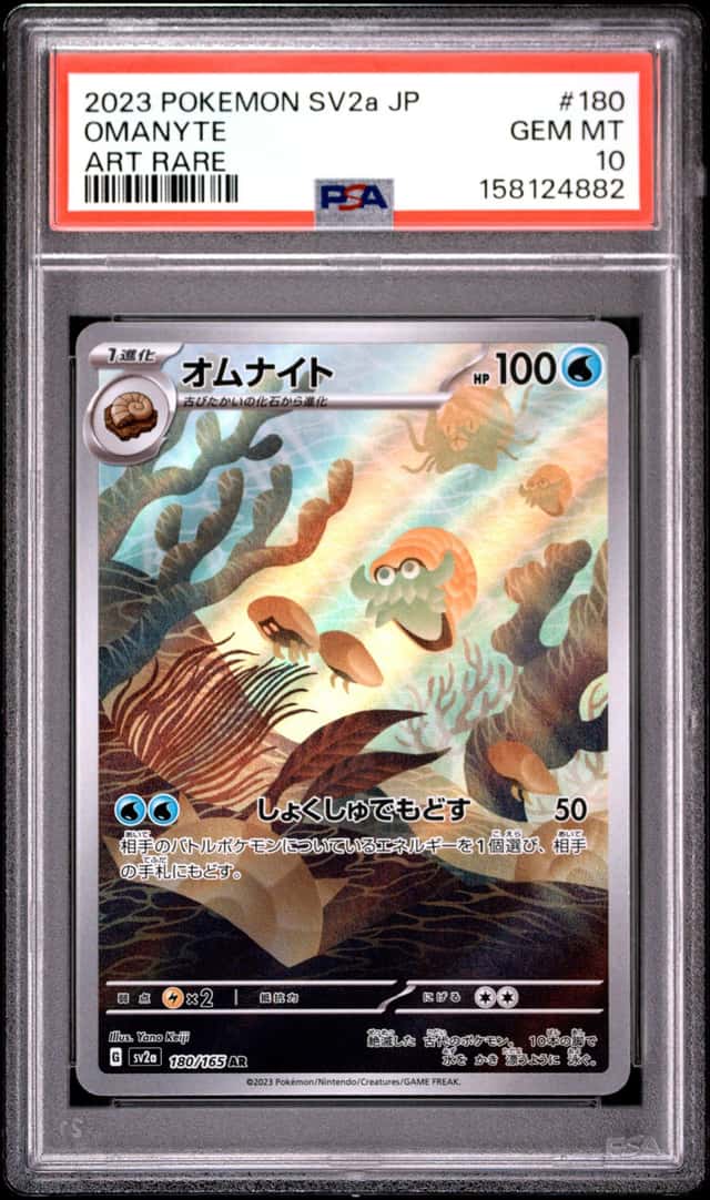 Omanyte