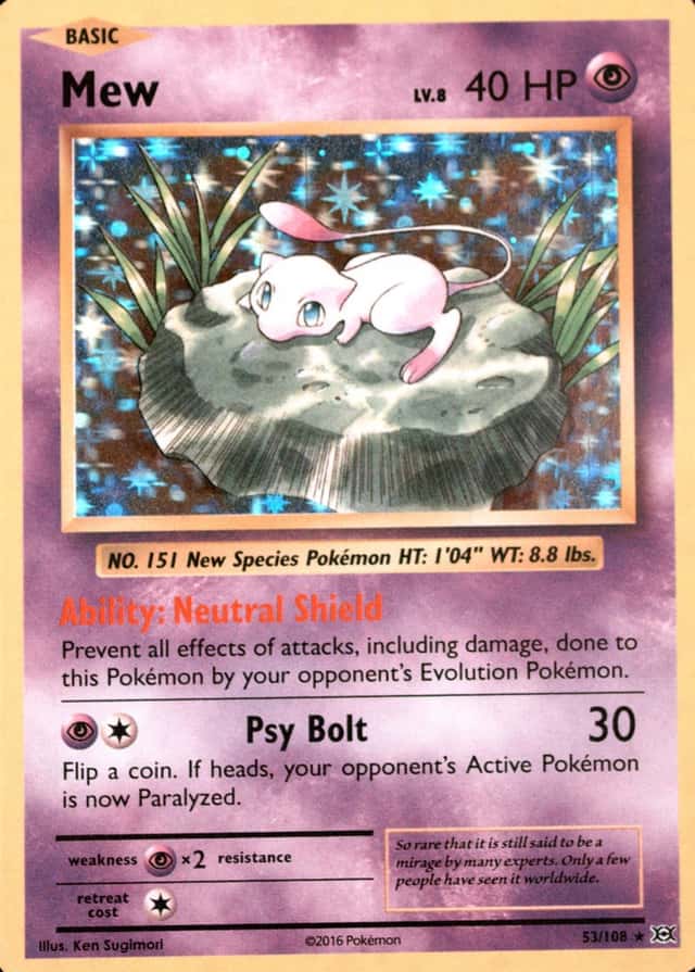 Holo