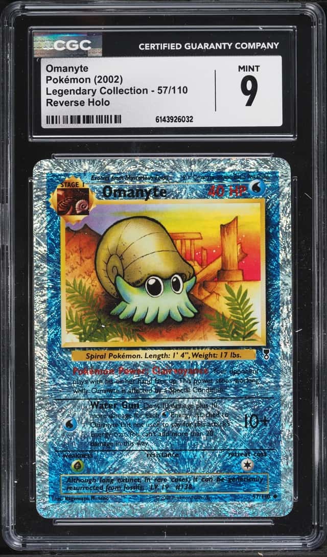 Omanyte
