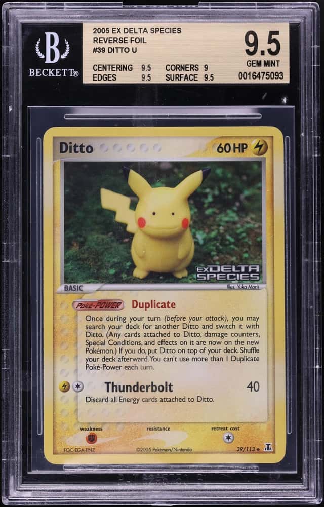 Ditto