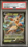 Leafeon V