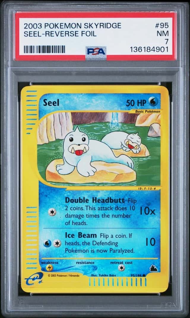Seel