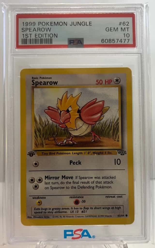 Spearow