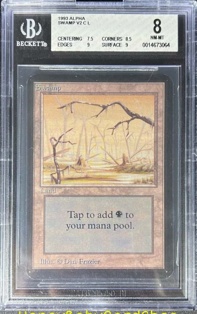 Swamp V2 L