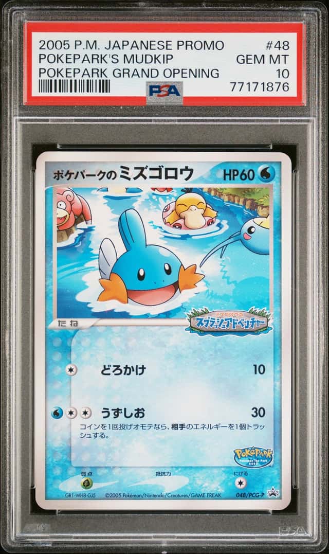 Pokepark's Mudkip
