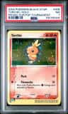 Torchic