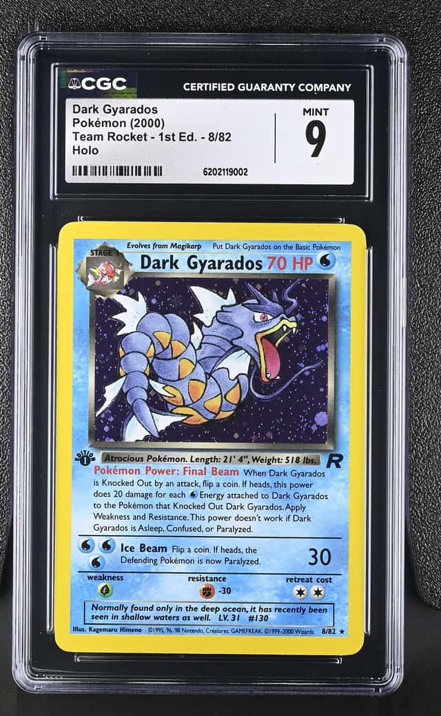 Dark Gyarados