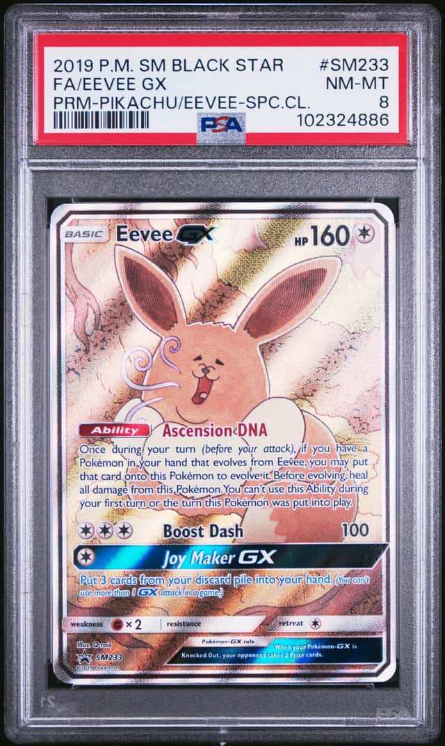 Eevee GX