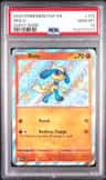 Riolu
