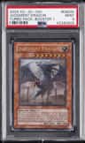 Judgment Dragon