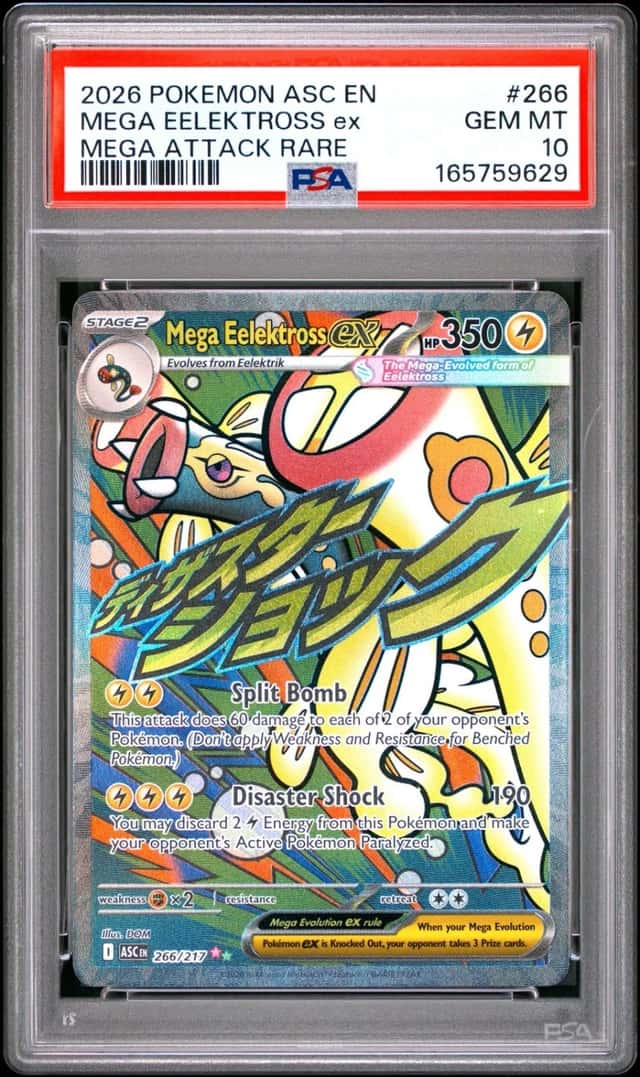 MEGA EELEKTROSS ex