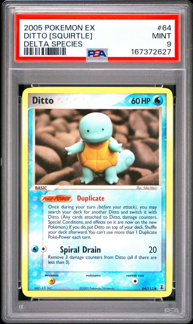 Ditto [Squirtle]