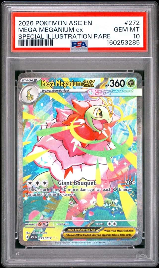 MEGA MEGANIUM ex