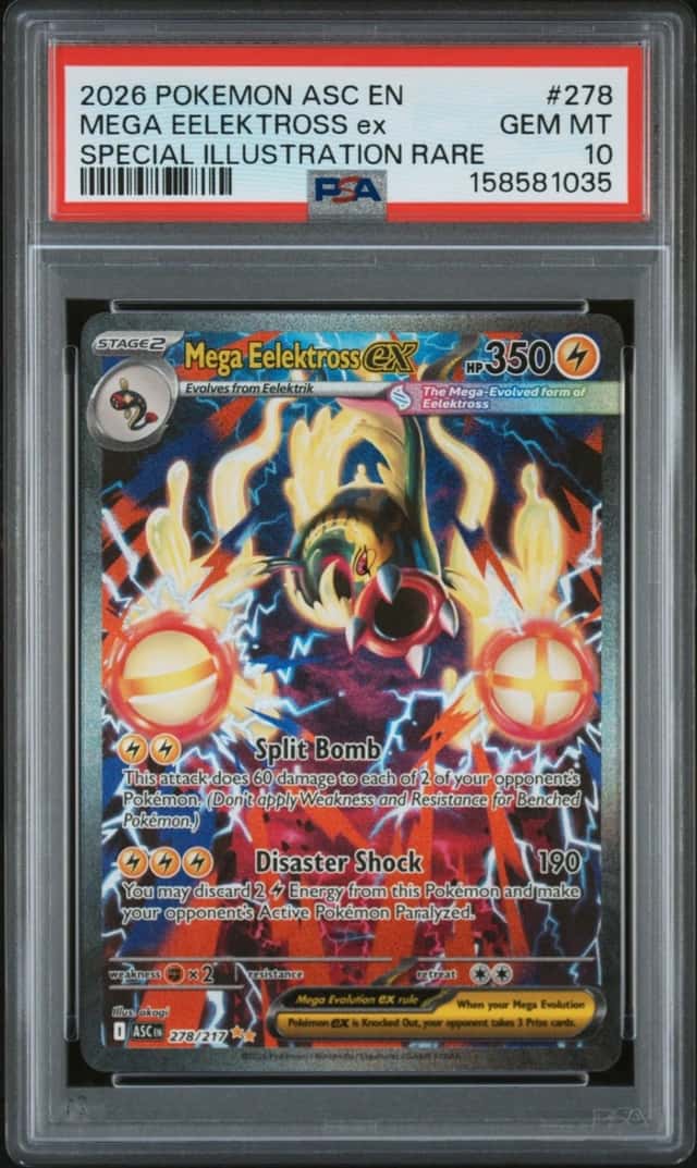 MEGA EELEKTROSS ex