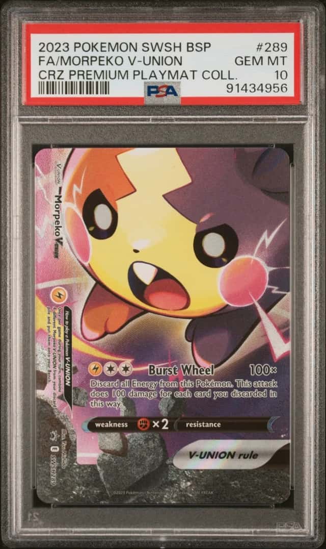 Morpeko V-Union