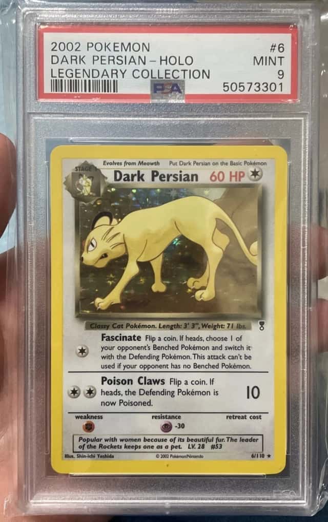Dark Persian