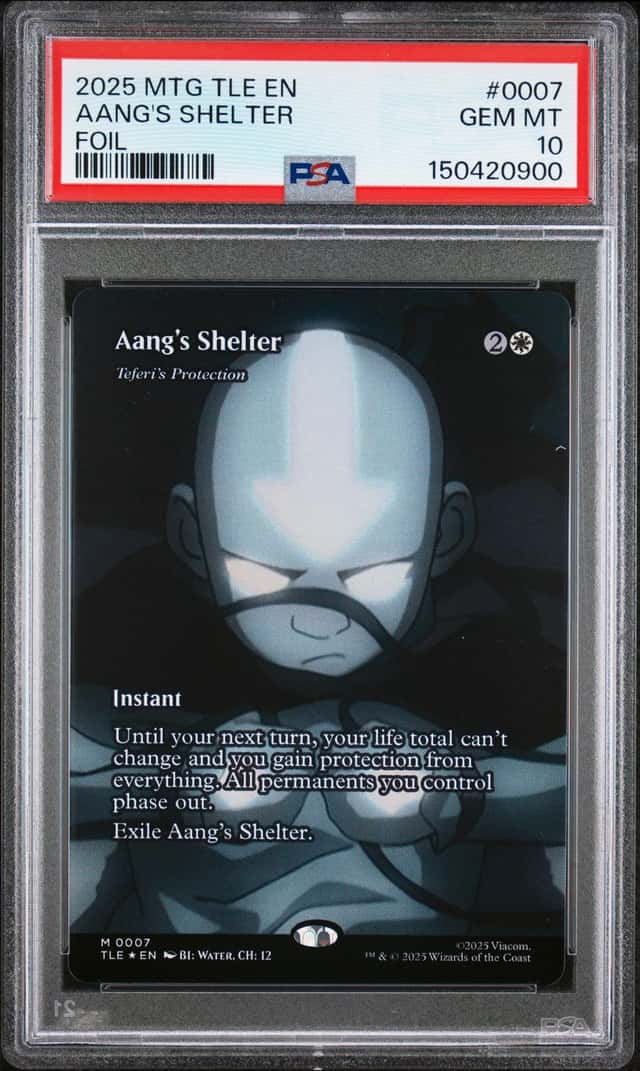 Aang's Shelter